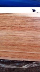jual plywood triplek harga murah 2