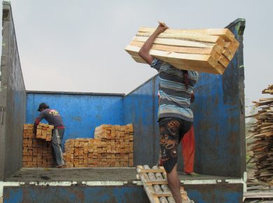 jasa sawmill penggergajian kayu 3