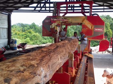 jasa sawmill penggergajian kayu 6