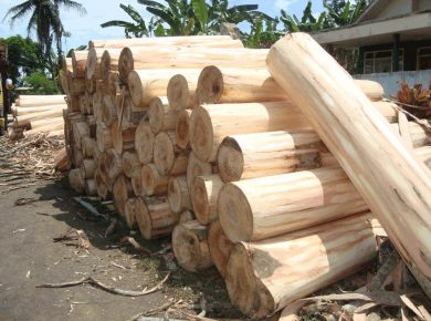 jual kayu barecore murah 4