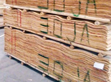 kayu veneer pohon albasia 4