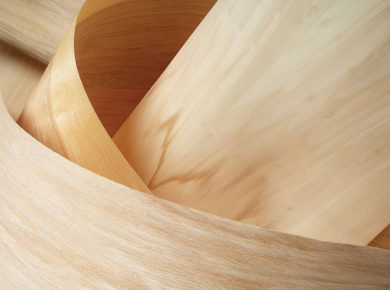 pabrik kayu veneer 1